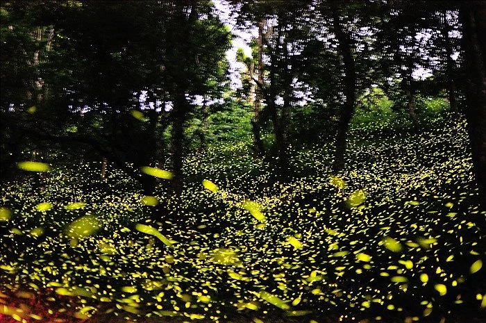 6932434548_686649eaf1_b.jpg?type=w1200