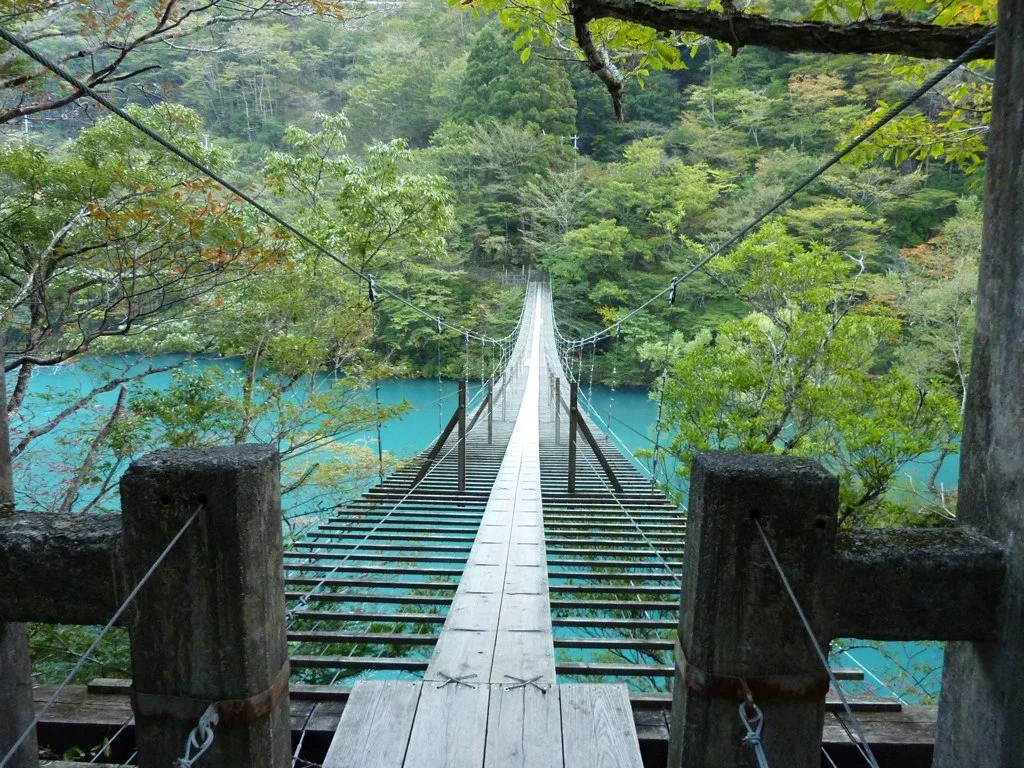 4035025046_af8f0586bd_o.jpg?type=w1200