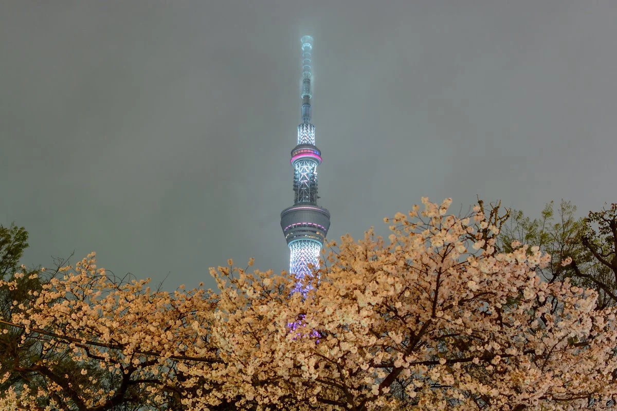 25643407854_2e7fef3b22_k.jpg?type=w1200