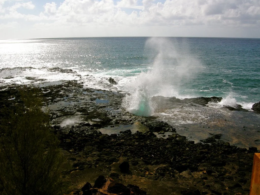 5099907582_253f7792bc_b.jpg?type=w1200