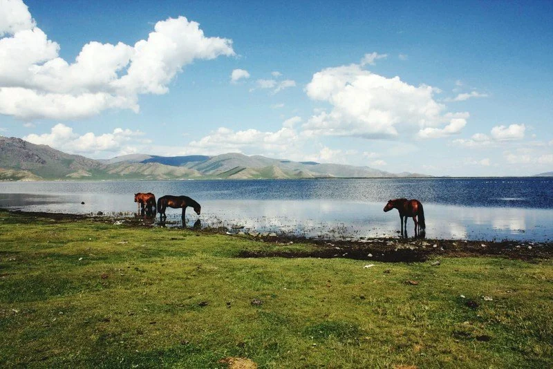 khovsgol-lake-mongolia.jpg?type=w1200