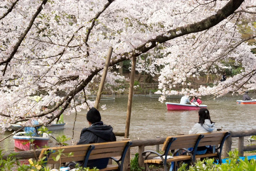 3446857732_5c2c1df71b_b.jpg?type=w1200