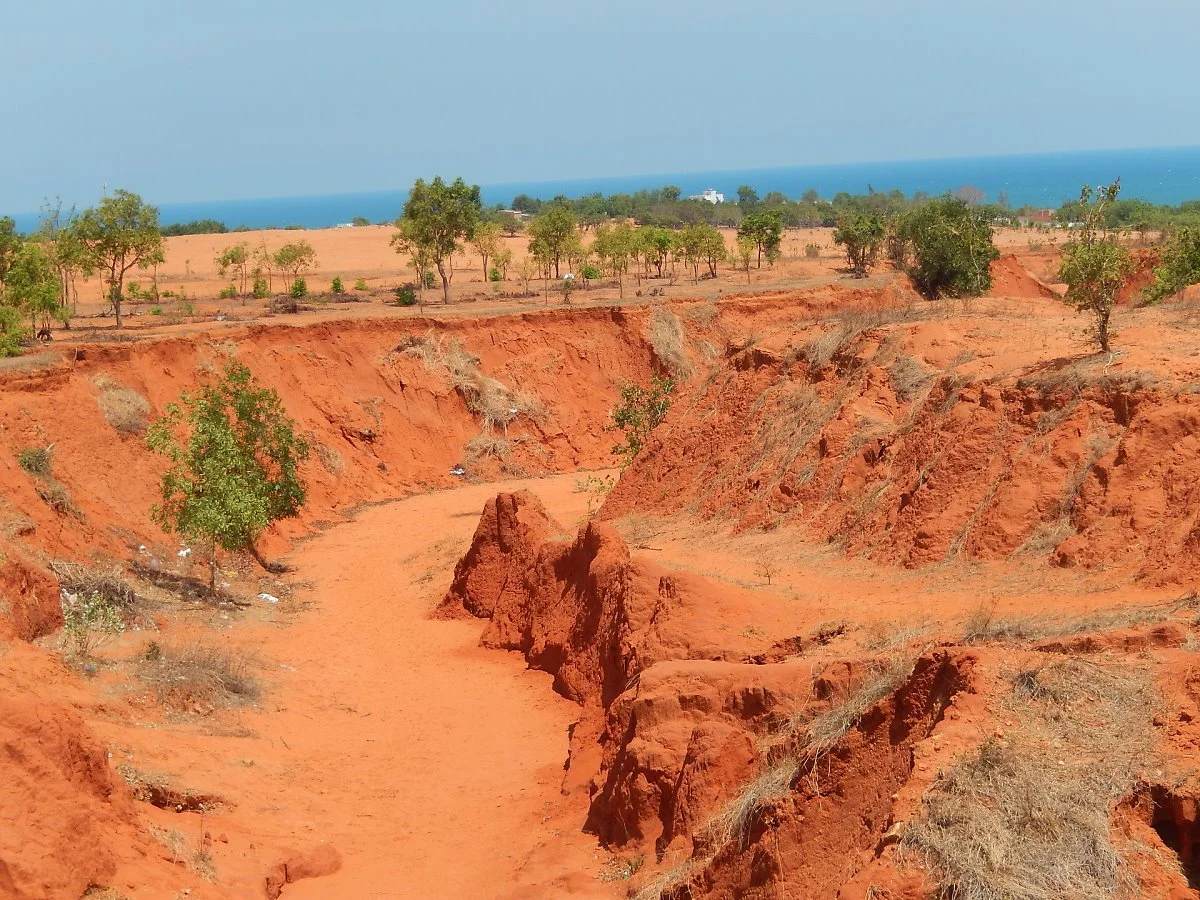 vietnam-1633463_1920.jpg?type=w1200