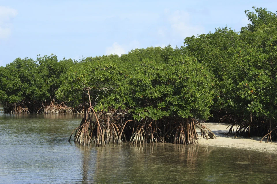 GettyImages-468020491.jpg?resize=800px:99999px&quality=75