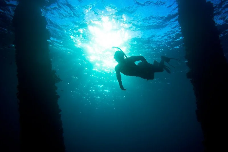 6041657532_4de8493879_b.jpg?type=w1200