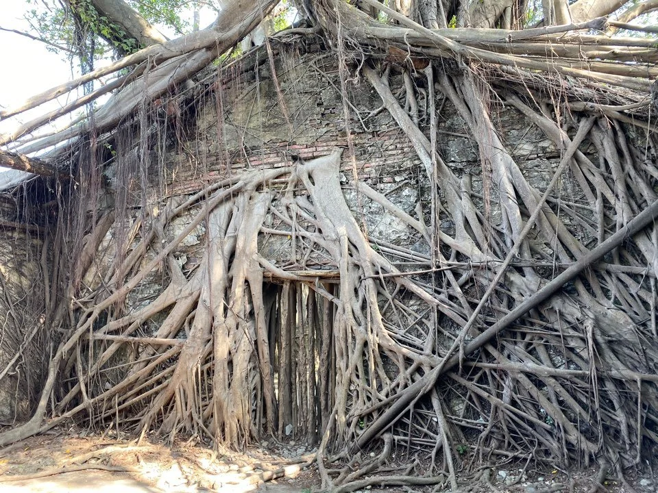 KakaoTalk_20191208_170051424_08.jpg?type=w1200