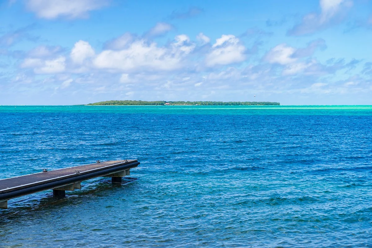 %EB%A9%94%EB%A6%AC%EC%A1%B0%ED%94%BC%EC%96%B4%EA%B3%B5%EC%9B%90_%282%29.jpg?type=w1200