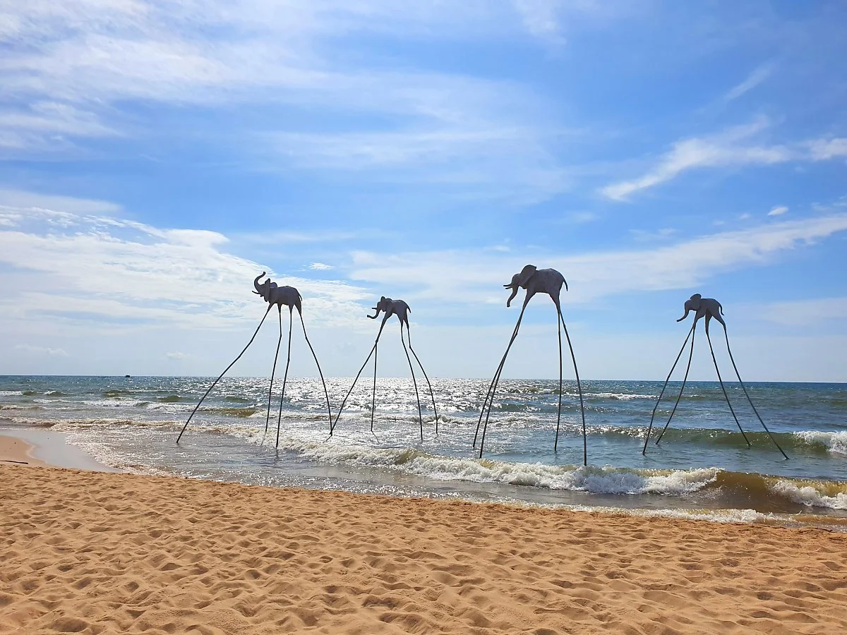 image_2507539021579498891992.jpg?type=w1200