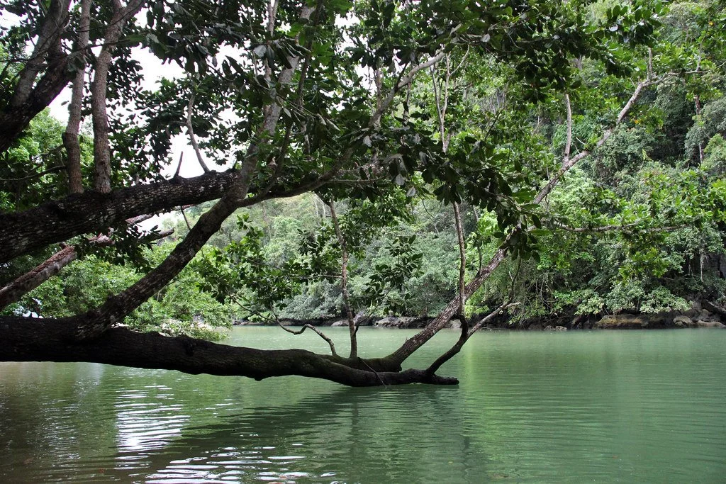 5342622974_ee0977696a_b.jpg?type=w1200