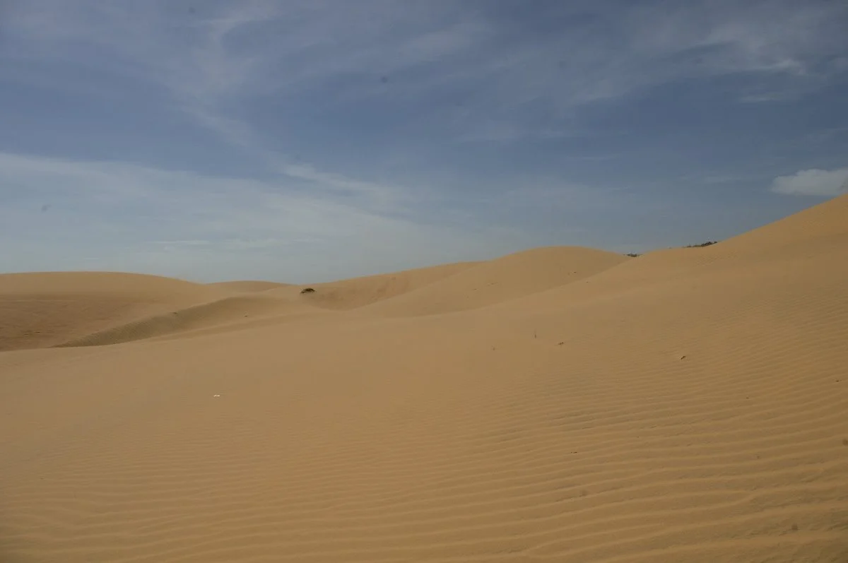 dunes-731121_1920.jpg?type=w1200