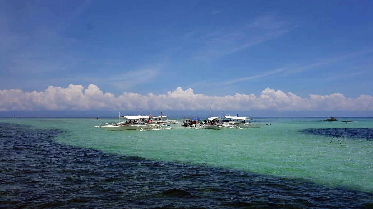 Flickr_Allan_Asca%C3%B1o.jpg?type=w1200