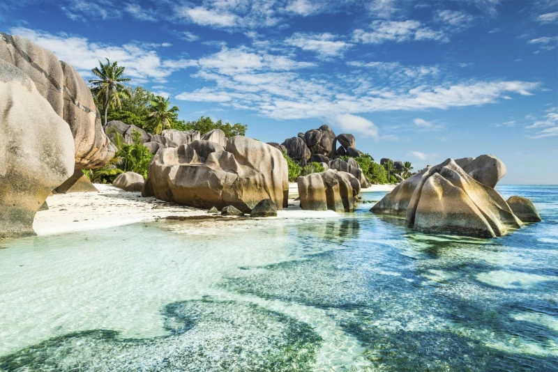seychelles-anse-sous-dargent-beach (1).jpg