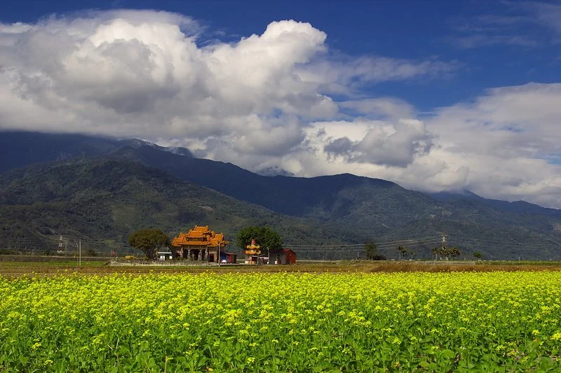 Flickr_Mark_Kao.jpg?type=w1200