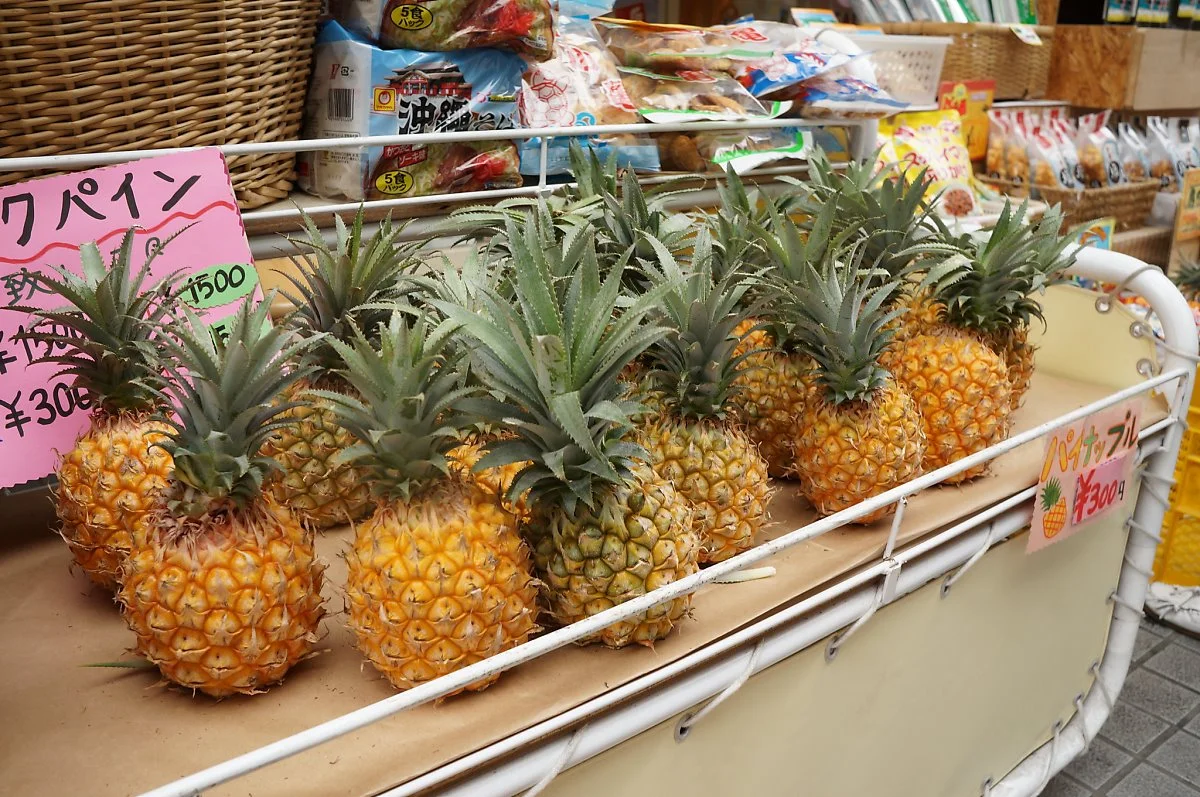 13868041173_21231cf7fd_k.jpg?type=w1200