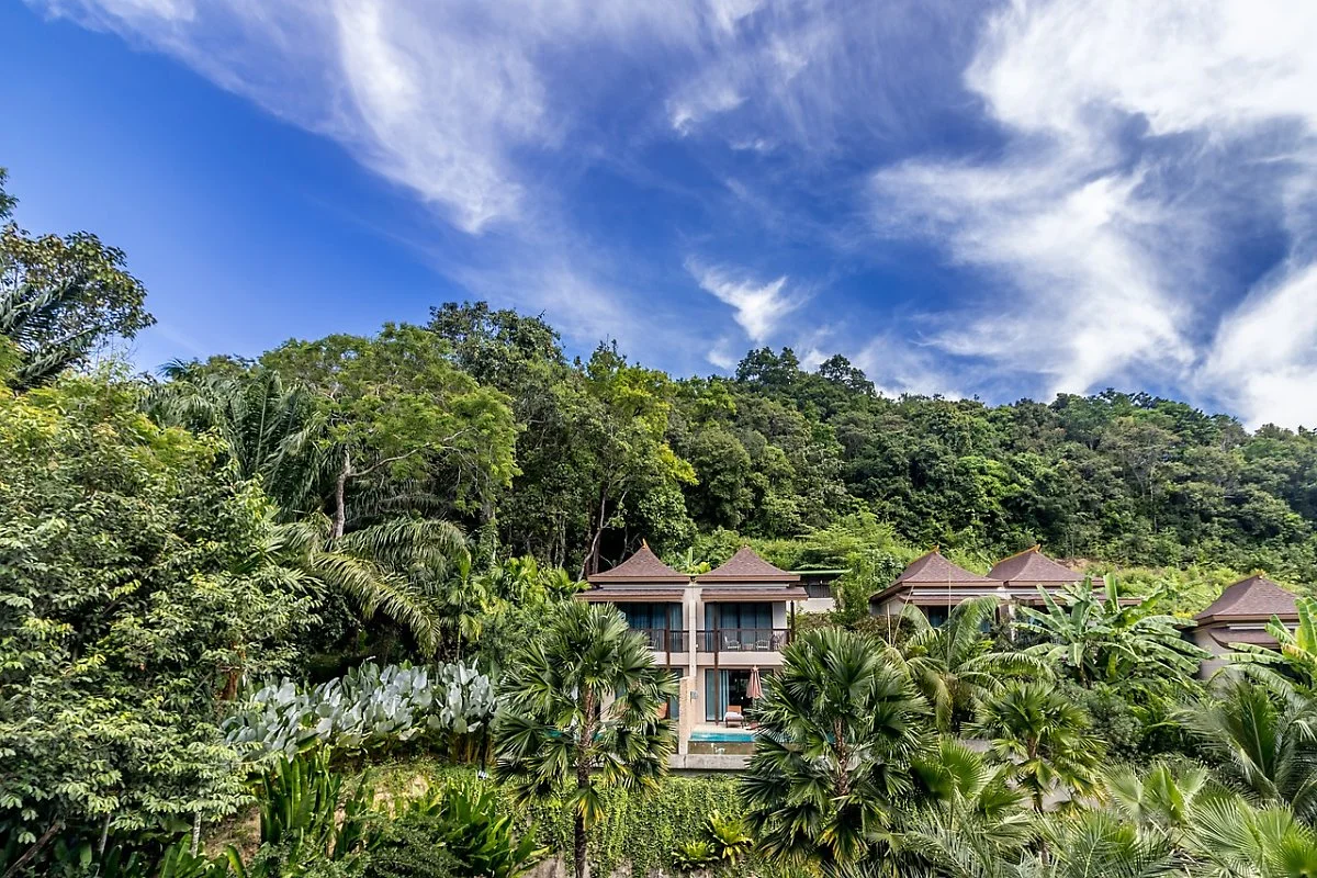 thailand-3953207_1280.jpg?type=w1200