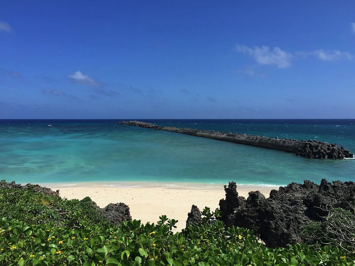 19723469446_dfe4176ff7_k.jpg?type=w1200