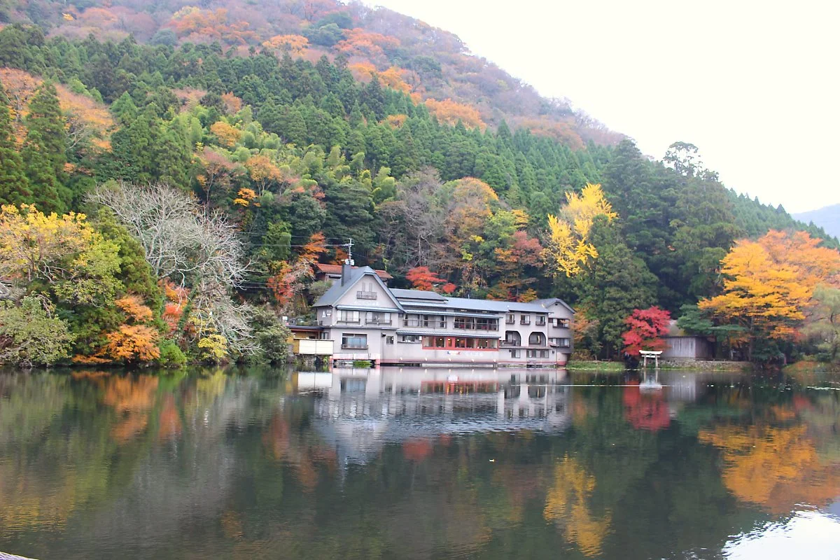 image_2725047851510823774385.jpg?type=w1200