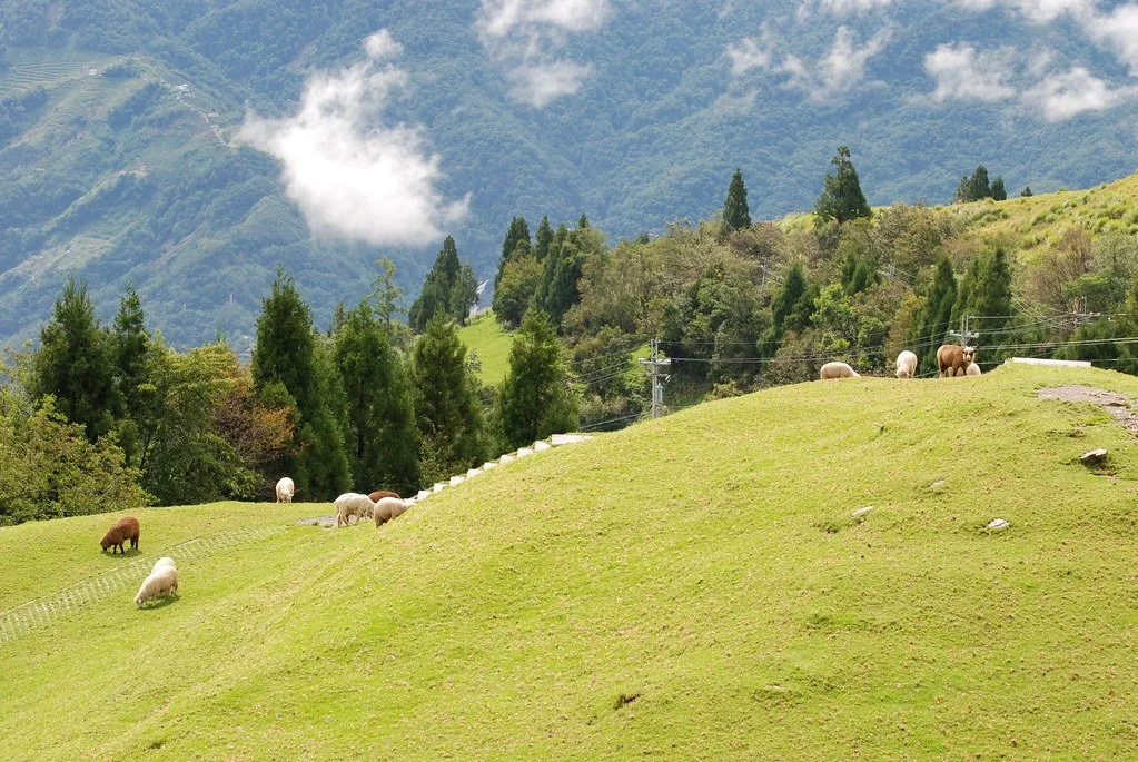 2924518435_c5363f2cab_b.jpg?type=w1200