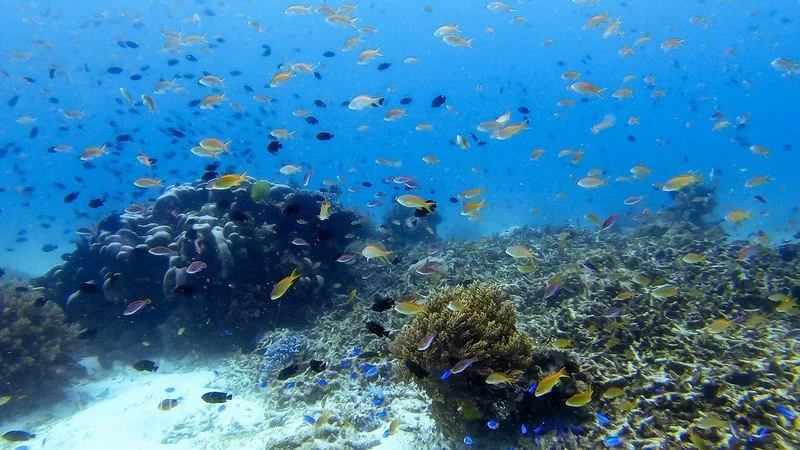 46825748064_fb8982f988_c.jpg?type=w1200