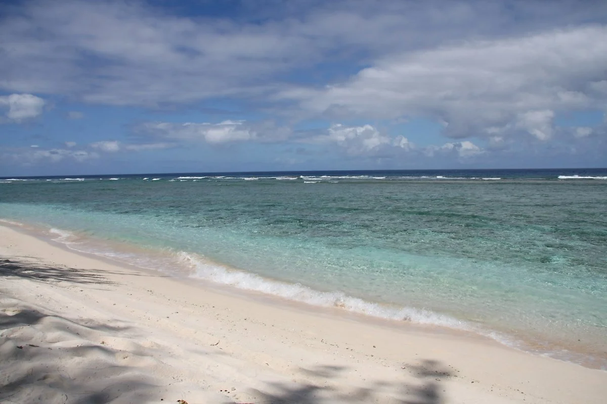 6809377980_2f26bc8b00_k.jpg?type=w1200