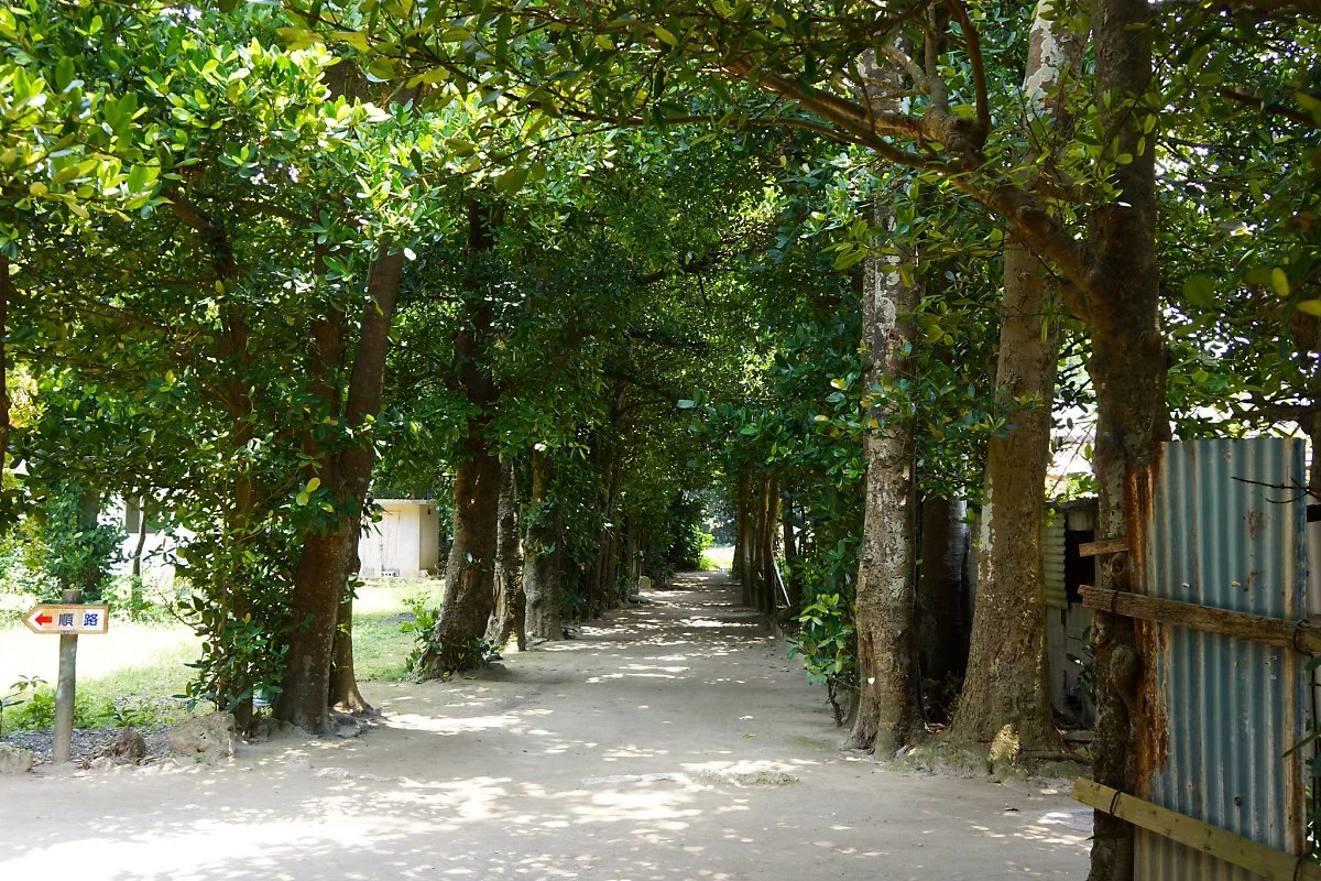 13965533618_73664aa459_k.jpg?type=w1200