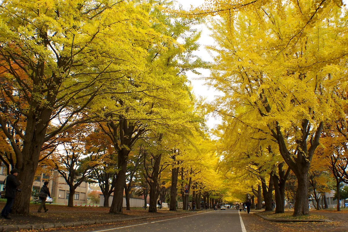 8150662228_538964d085_k.jpg?type=w1200