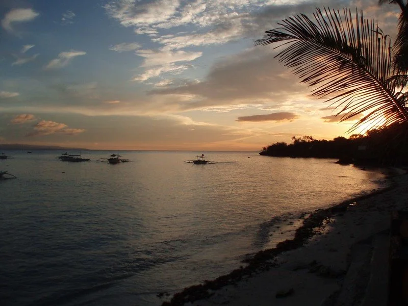 4146107403_c45d690fd3_c.jpg?type=w1200