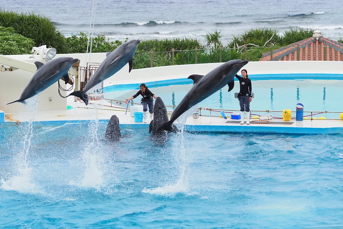 33884365211_767c7ee8cd_k.jpg?type=w1200