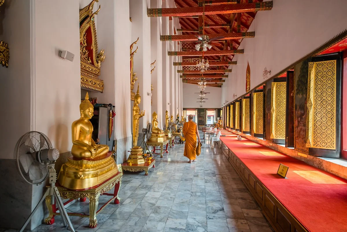 47633826181_9b659bd0fe_o.jpg?type=w1200