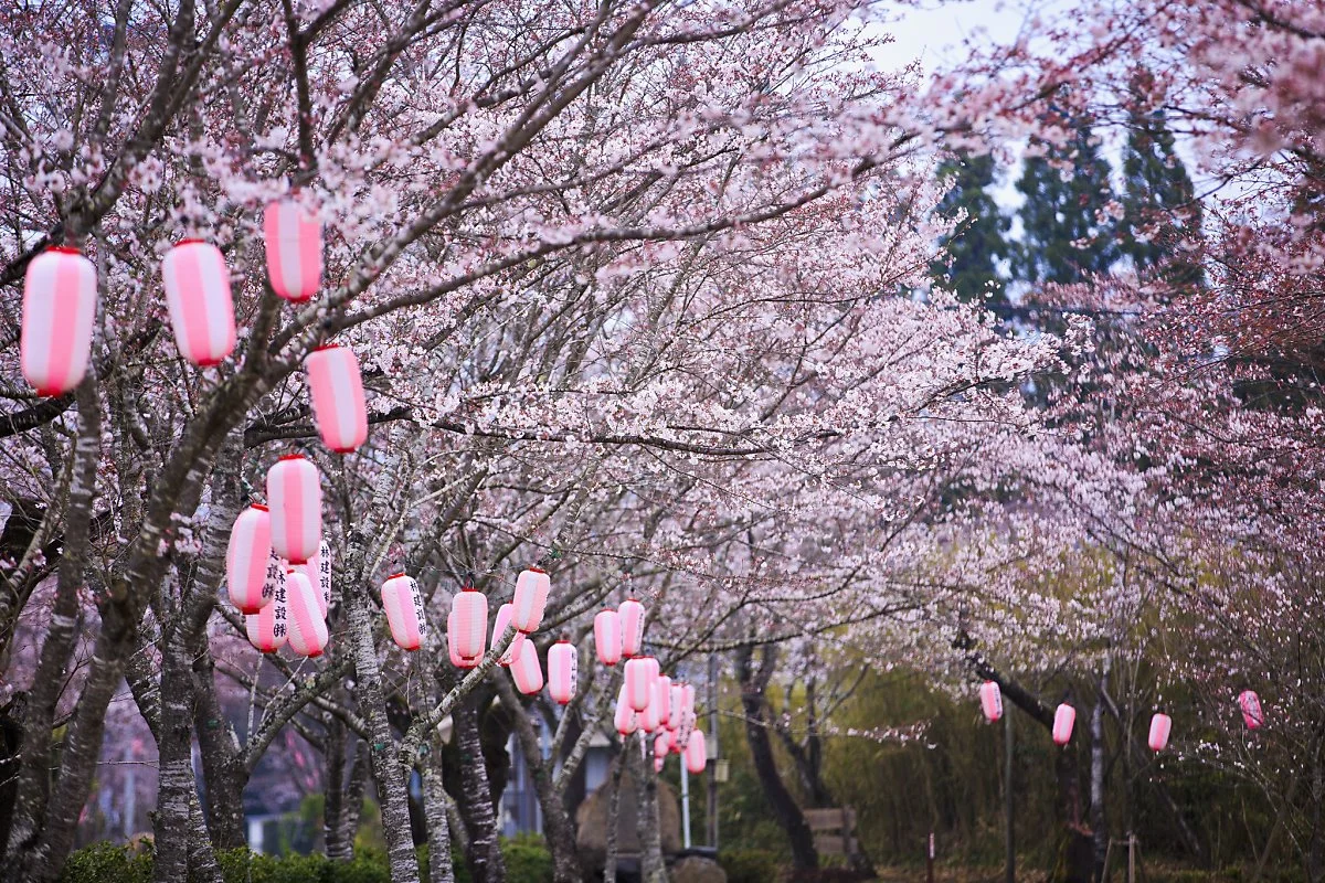 32565178353_e8062bd46b_k.jpg?type=w1200