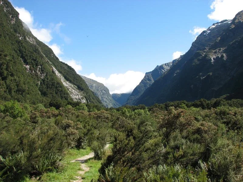 438547503_3dd182c323_c.jpg?type=w1200