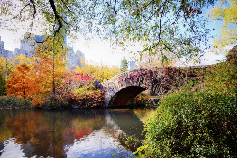 autumn_in_central_park_new_york_452566191.jpg