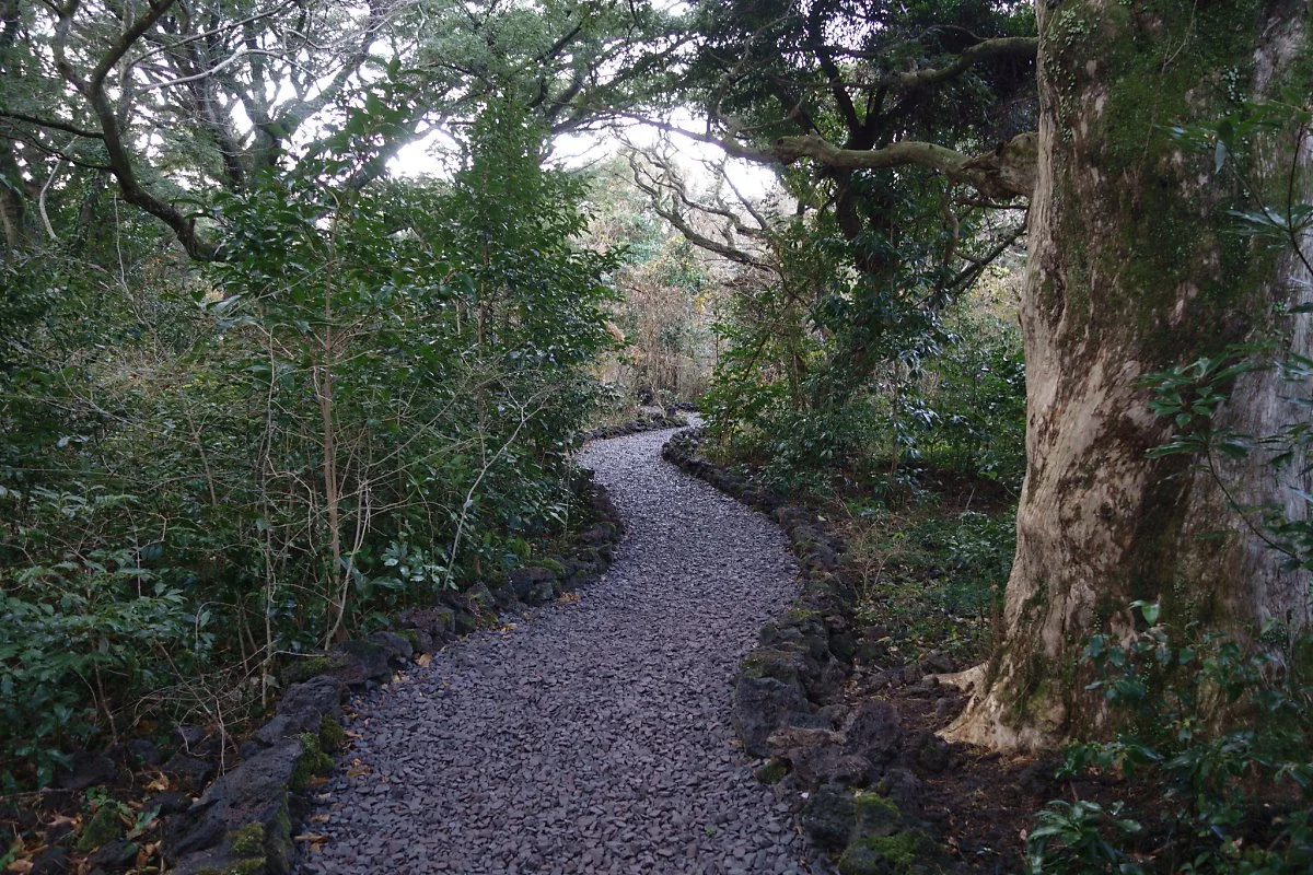 0605_%EC%A0%9C%EC%A3%BC_%EB%B9%84%EC%9E%90%EB%A6%BC_flickr_Byung_Jun_Kim.jpg?type=w1200