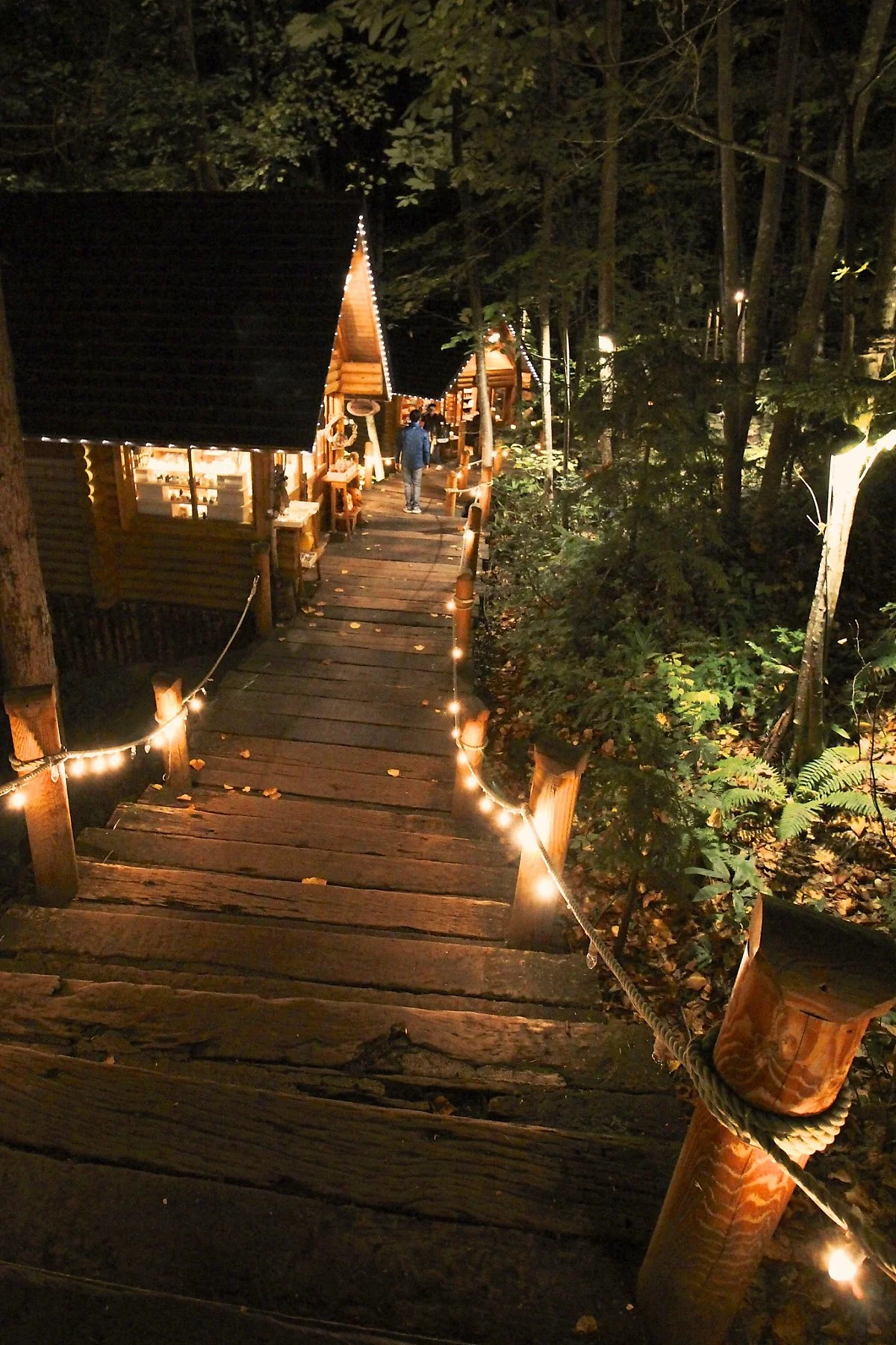 26194252679_db2e4c57c2_k.jpg?type=w1200