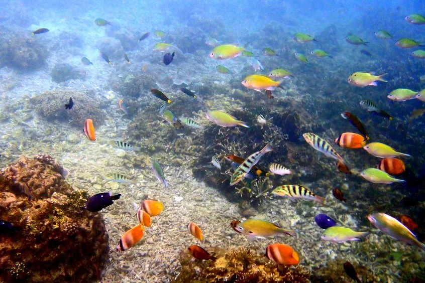 image_688369001533879657736.jpg?type=w1200