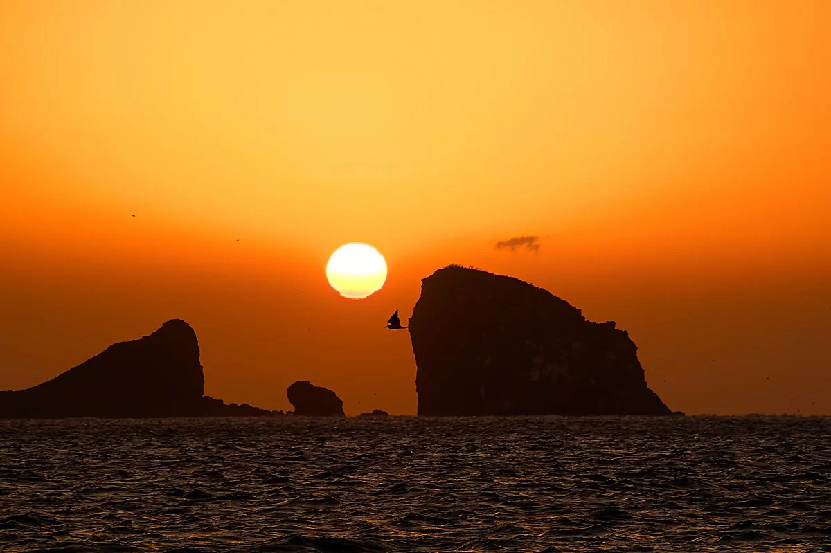 %ED%98%95%EC%A0%9C%EC%84%AC_%EC%9D%BC%EC%B6%9C_%281%29.jpg?type=w1200