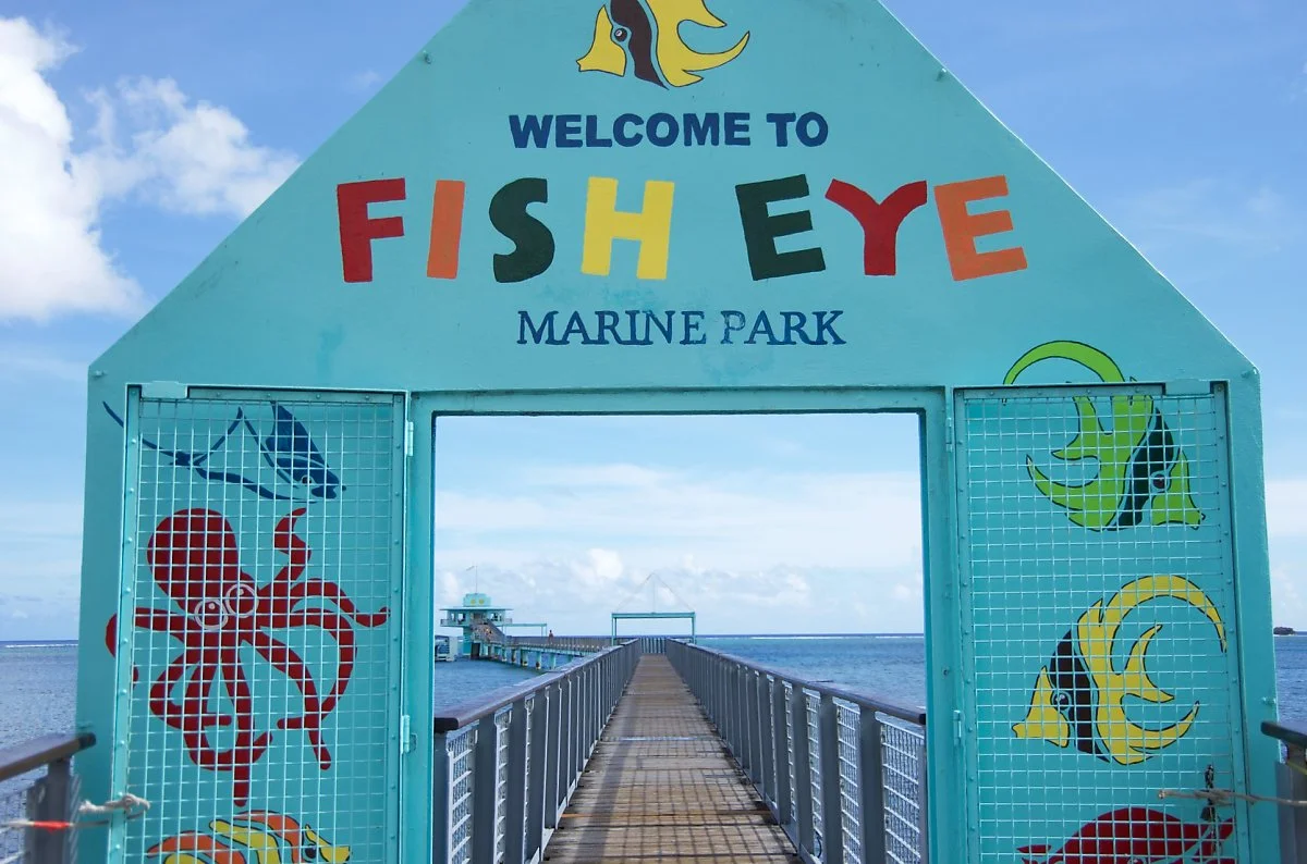 image_8163829491575117367984.jpg?type=w1200