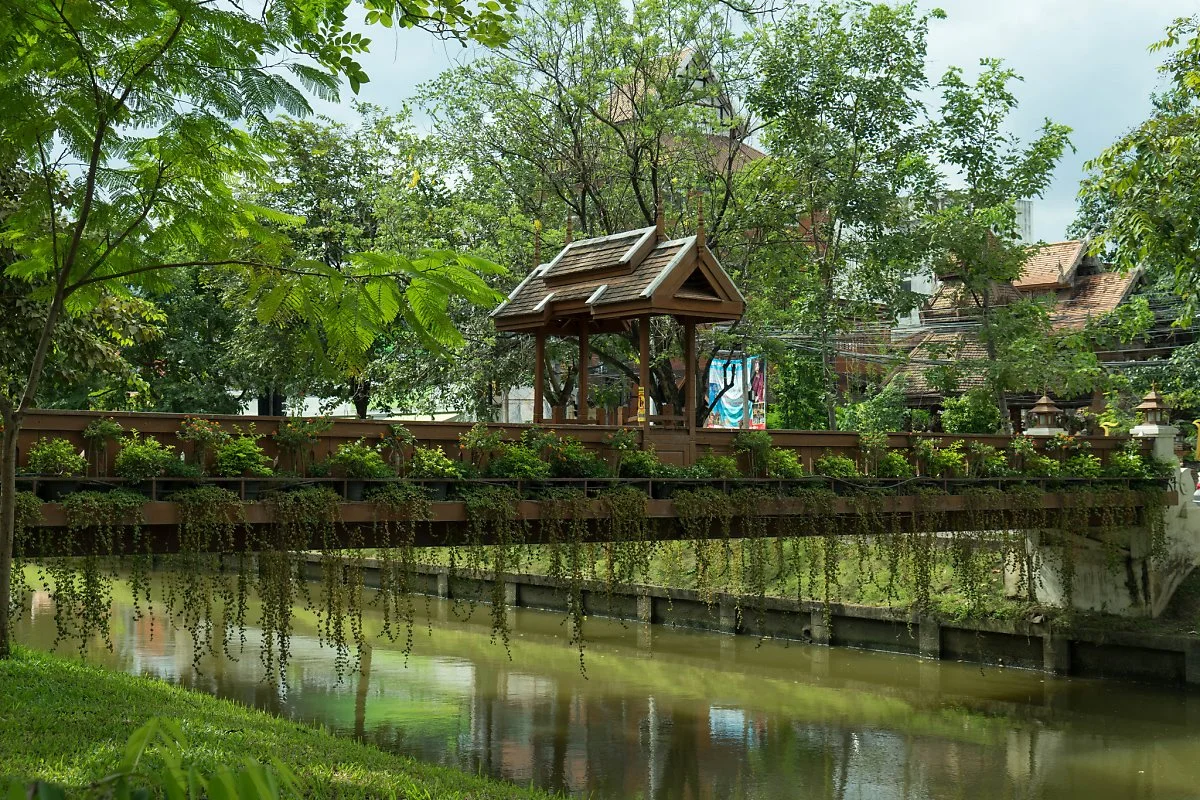 37142057081_f6f84fbacd_k.jpg?type=w1200