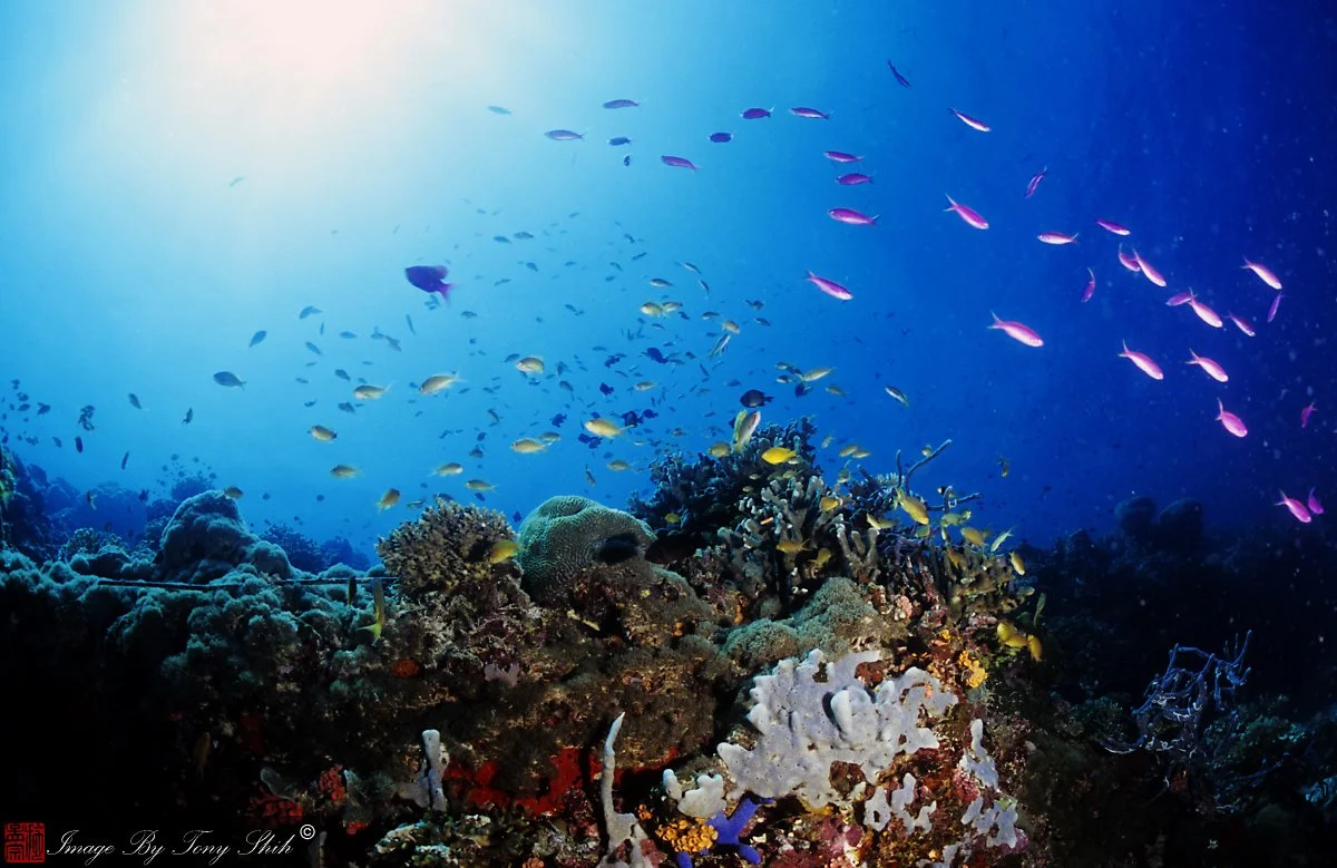 Tony_Shih.jpg?type=w1200