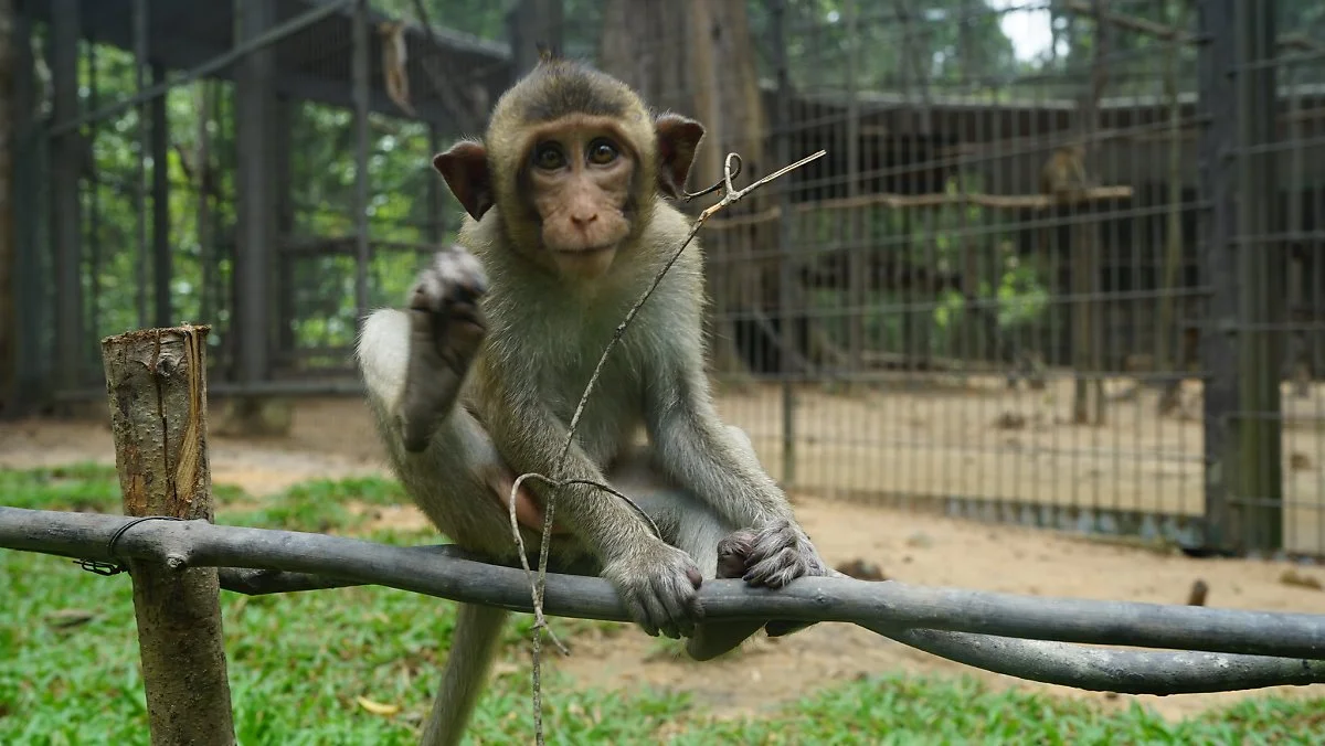 37220317565_e5f9bb3ed7_k.jpg?type=w1200