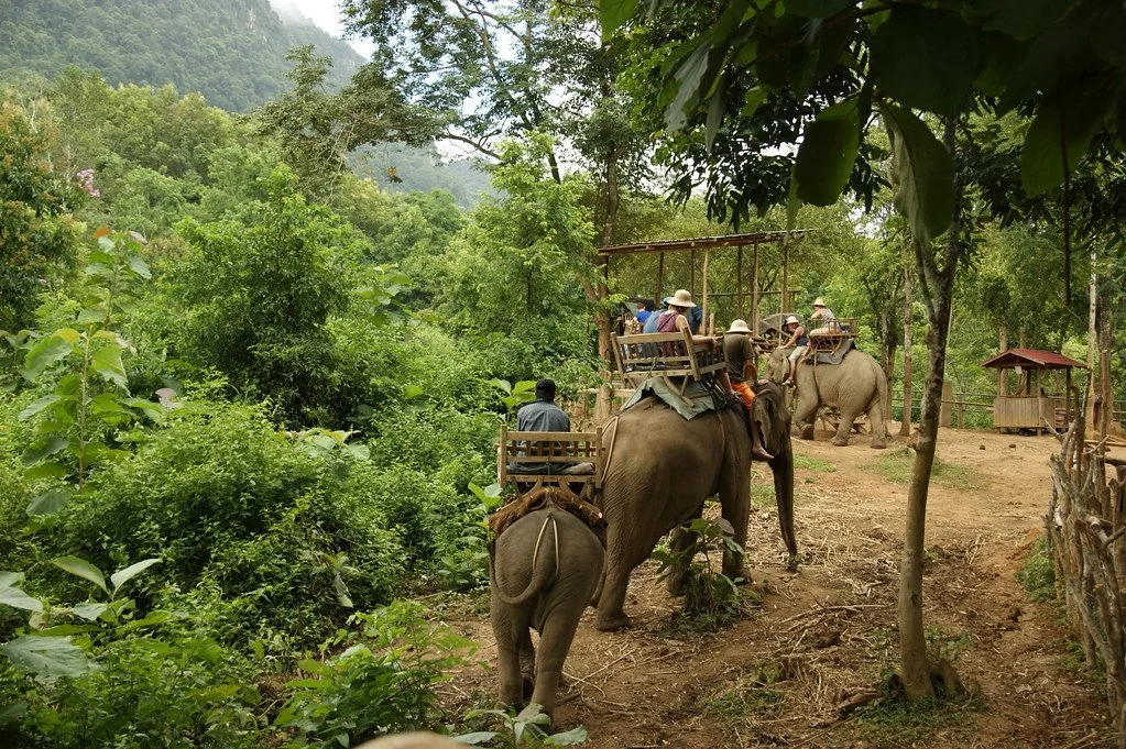 3923574121_c3679c6c74_b.jpg?type=w1200