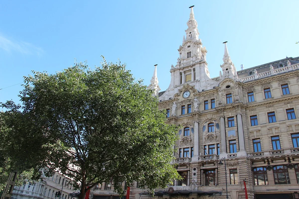 26746913269_6dcf769f1b_k.jpg?type=w1200