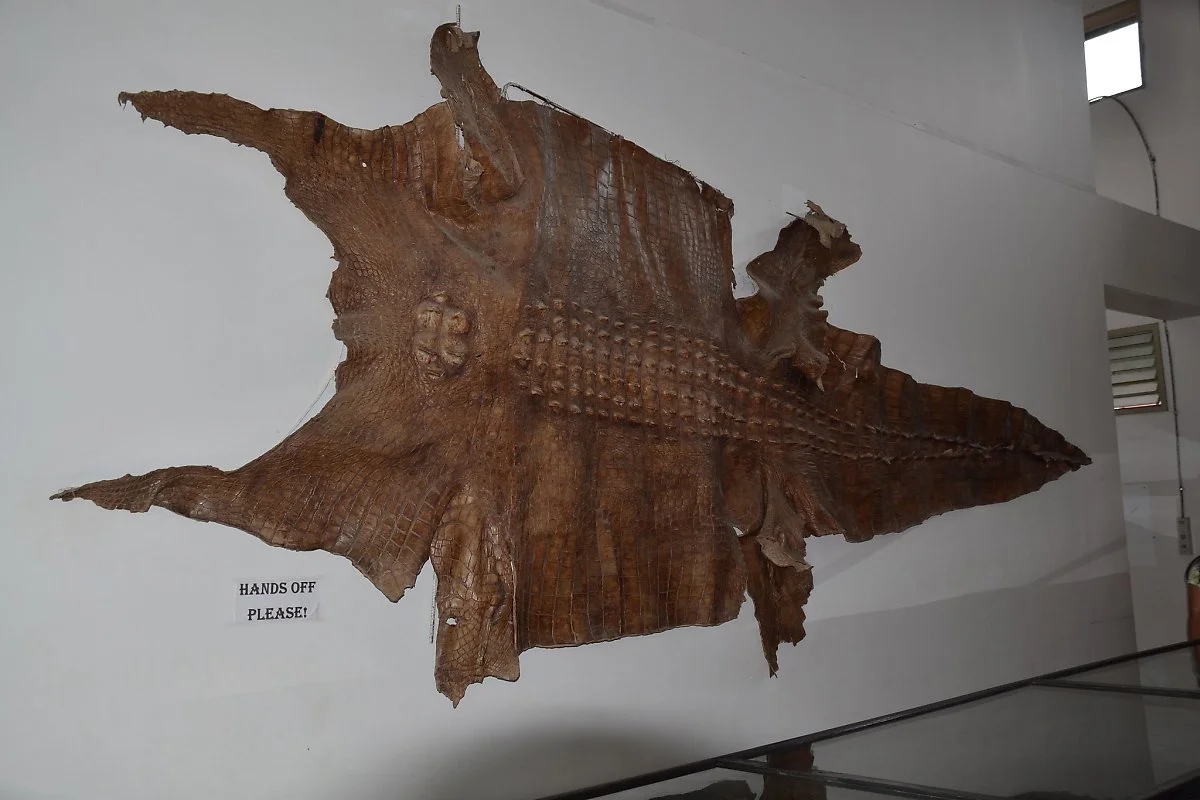 9165259762_ec90d92c6b_k.jpg?type=w1200