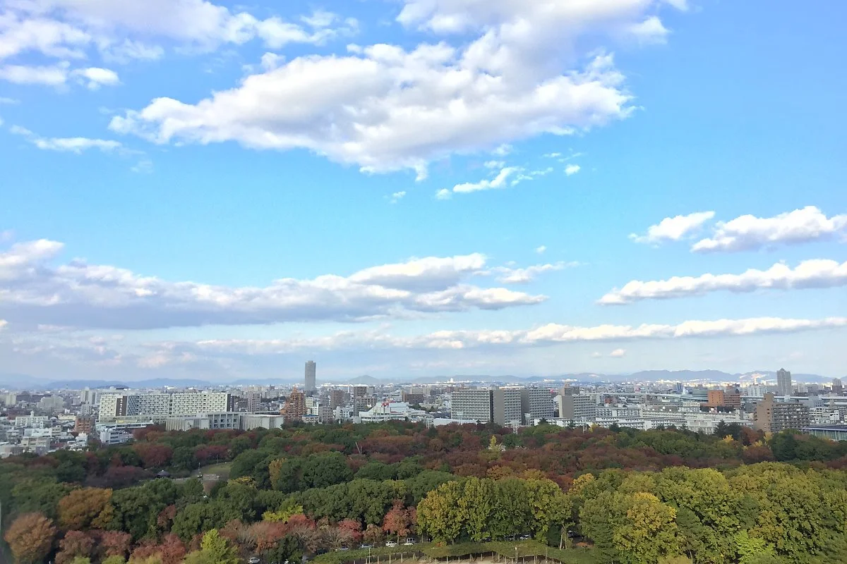 image_9787493301530074680783.jpg?type=w1200