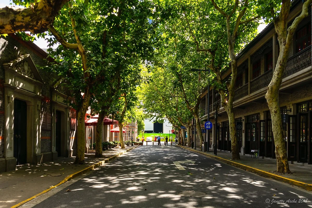 45020829022_ac2572036c_h.jpg?type=w1200