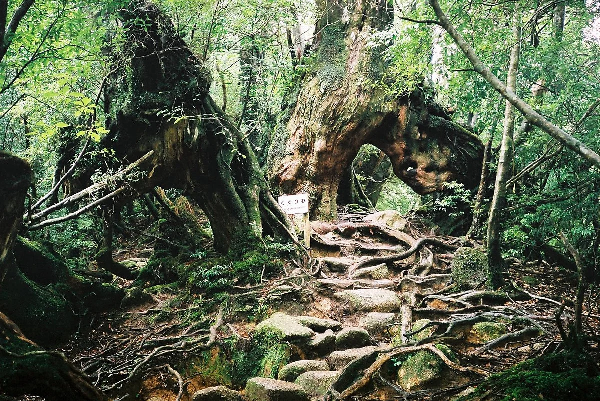 14308425036_983d4c3e6e_h.jpg?type=w1200