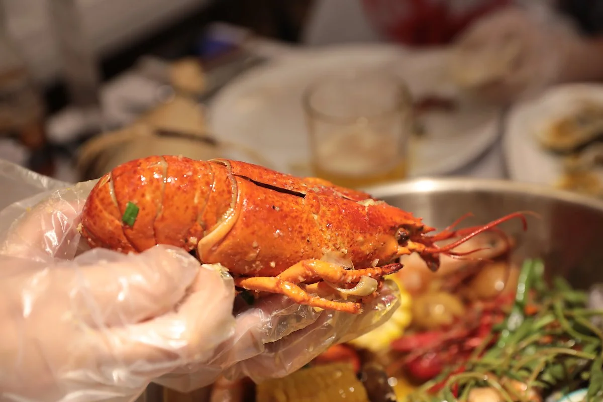 04_04_0I0A9203.JPG?type=w1200