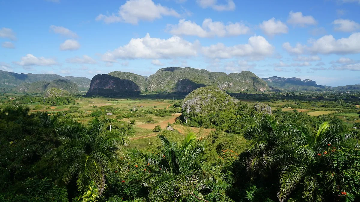 15929953717_0a05b020f1_k.jpg?type=w1200