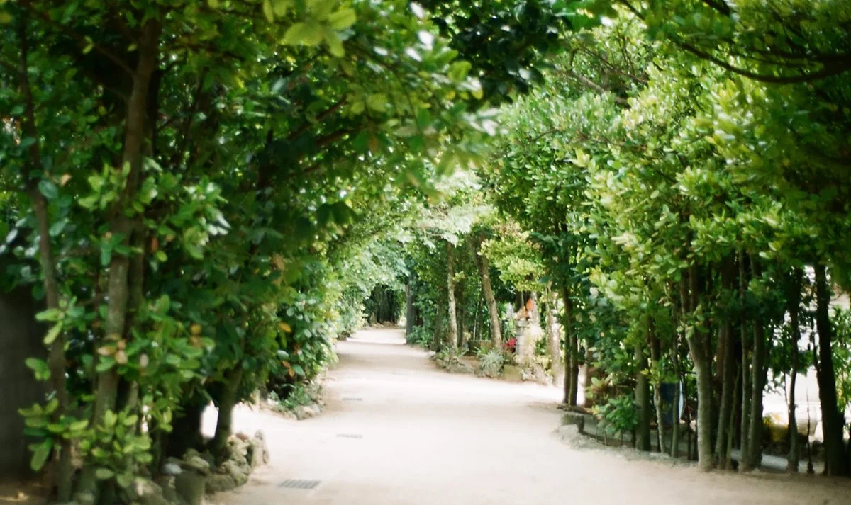 image_4631997741527482951430.jpg?type=w1200