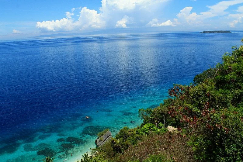 33603833441_361bc2e7bb_c.jpg?type=w1200